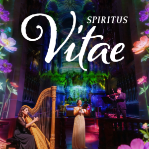 Spiritus Vitae: Clérigos Immersive Concert