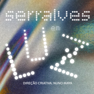 Serralves em Luz