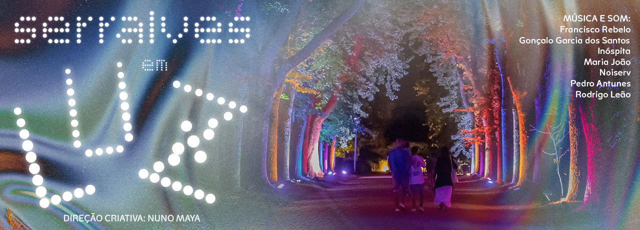 Serralves em Luz