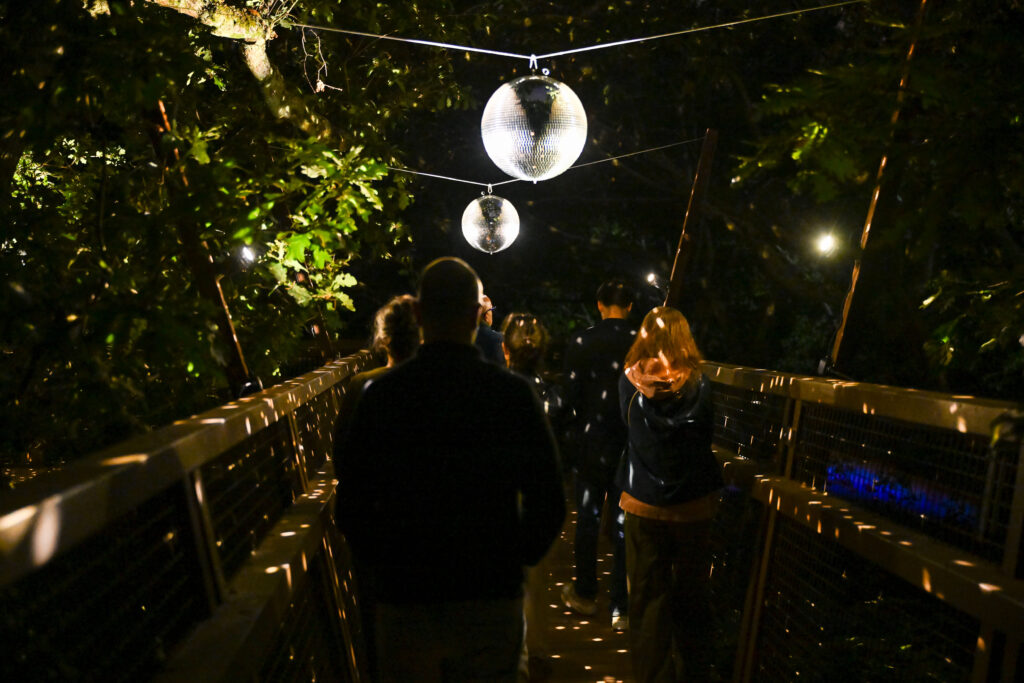 Serralves-experiencia-imersiva
