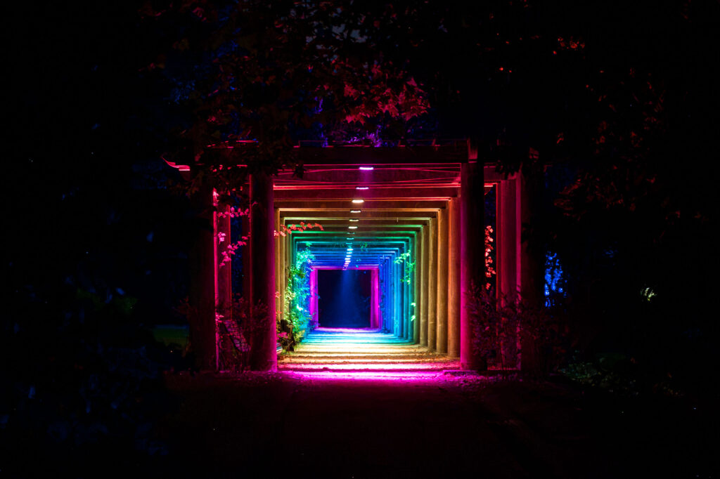 Serralves em Luz: Quando a noite ganha vida