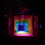 Serralves em Luz: Quando a noite ganha vida
